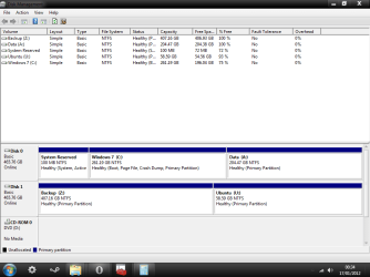 Disk Management 3 - 17 January 2012.png