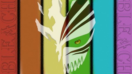 Bleach.jpg
