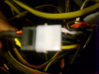 S6300566.JPG