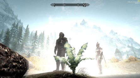nirn.jpg nirn.jpg