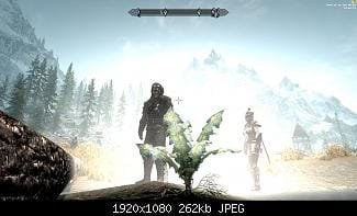 nirn.jpg