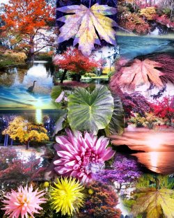 new_AutoCollage_20_Images.jpg