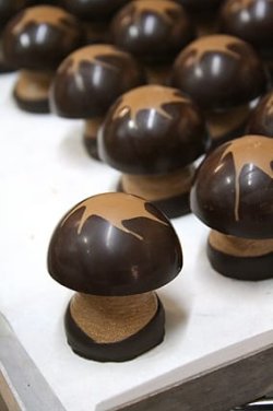 panais chocolate mushrooms.jpg