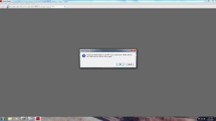 acrobat error.jpg