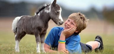 horse385_439149a.jpg horse385_439149a.jpg