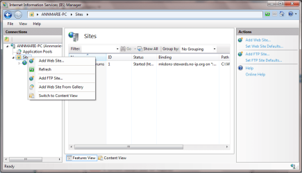 IIS New Site 1.PNG