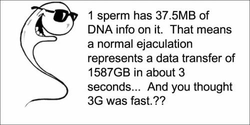 sp-dna.jpg