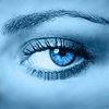 EyesAvatarNoybBlink.gif EyesAvatarNoybBlink.gif