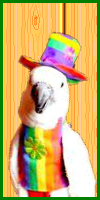 HB.png