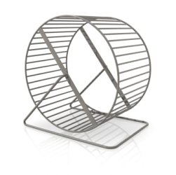 hamster-wheel.jpg