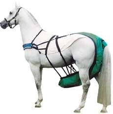 horsenappy.jpg