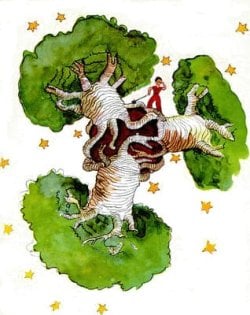 baobab.jpg baobab.jpg