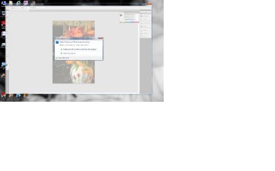 cs4 screenshot2.jpg