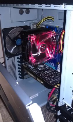 IMAG0104.jpg