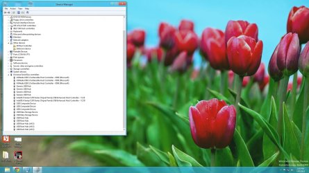 Device Manager.jpg