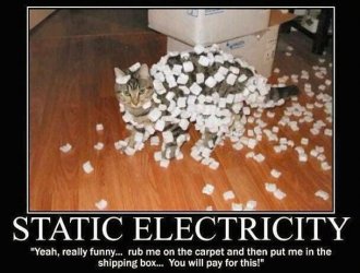 Static cat.jpg