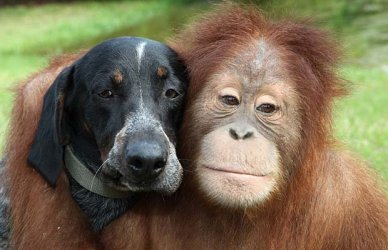 Best Friends.jpg