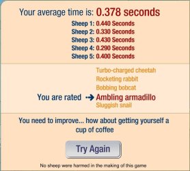 sheep 1.JPG sheep 1.JPG