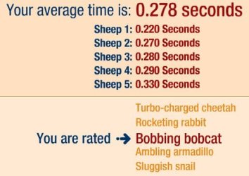 Sheep.JPG Sheep.JPG