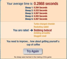sheep.JPG sheep.JPG