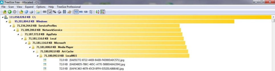 treesize with 2M files.JPG