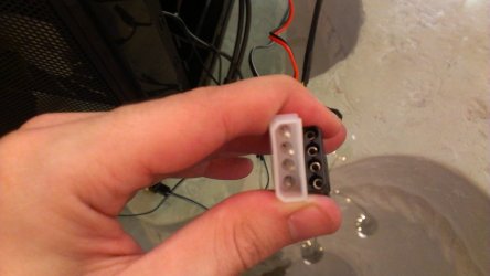 IMAG0010.jpg
