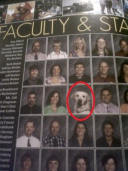 633d1b69e051f87a883265079cf227da-dog-pictured-on-faculty-page-of-yearbook.jpg
