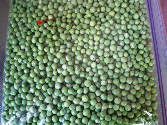 Peas out of pod.jpg