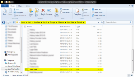 Chrome_WebData.png