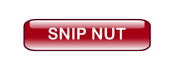 Snip.png
