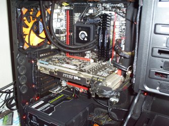S4030769.jpg