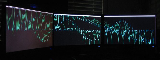 06 - G-Force visualization.jpg