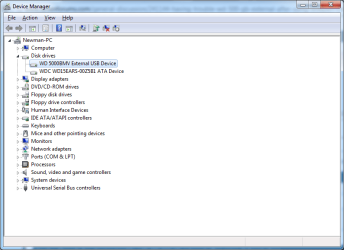 Screen Shot.png