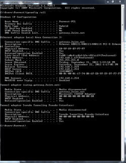 ipconfig only lan redo.PNG