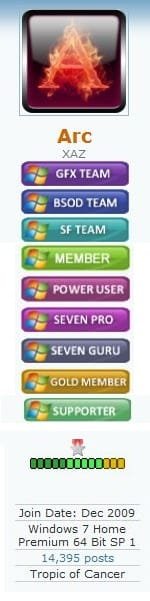 Arc badges.JPG