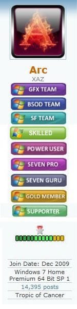 Arc badges 2.jpg