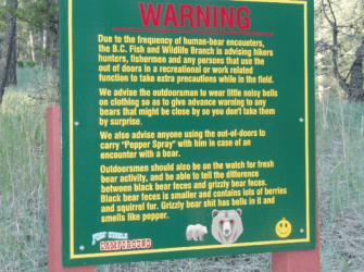 Bears.png