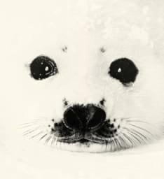 tumblr_lwy0q2jjkg1qdd8wro1_500.jpg