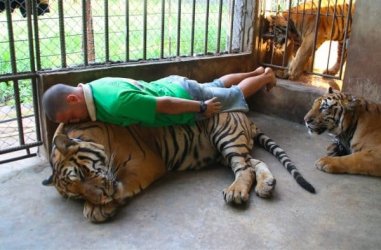 picdump-540-18.jpg
