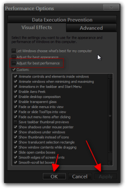 Performance Options.png