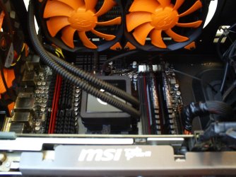 S4030767.jpg