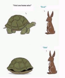 ATT00001 (1)rabbit.jpg