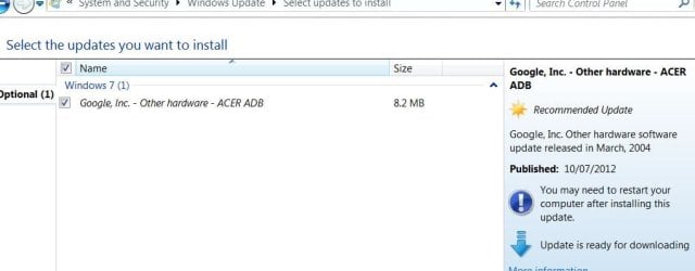 acer.JPG