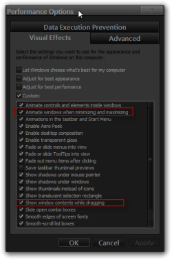 Performance Options.png Performance Options.png
