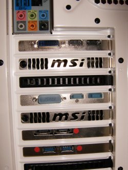 HPIM2470.jpg