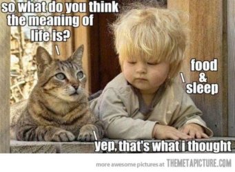 Meaning_Of_Life.jpg