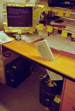 425784_367216576699952_2033428413_n(2).jpg