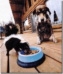 image_thumb6.png image_thumb6.png