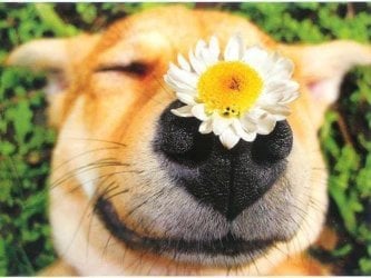 !! -1.-ImageProxy.jpg !! -1.-ImageProxy.jpg