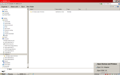 3 A Dane widget shown as UDISK J.png
